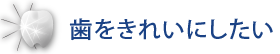 歯をきれいにしたい