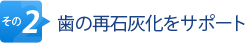 その2.歯の再石灰化をサポート